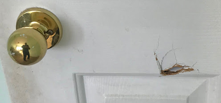 interior door hole repair Lathrop